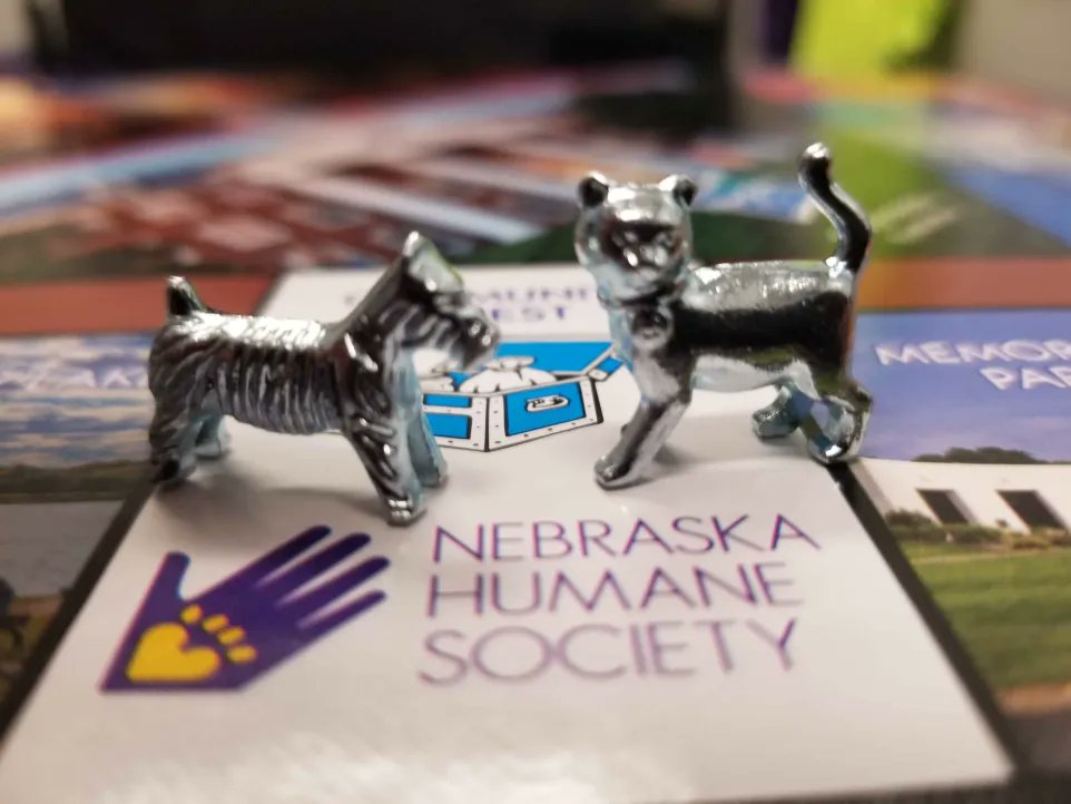 NEHumaneSociety's tweet photo. Monopoly: Omaha Edition launched today and NHS is ON THE BOARD!

To celebrate, we're giving away a copy of the game! You'll be entered once for every $5 given from now through Friday at noon here: https://t.co/mqkP7oazwx 

Which token are you picking - Dog or Cat? 🐶🐱 https://t.co/NfBR6GKiEd