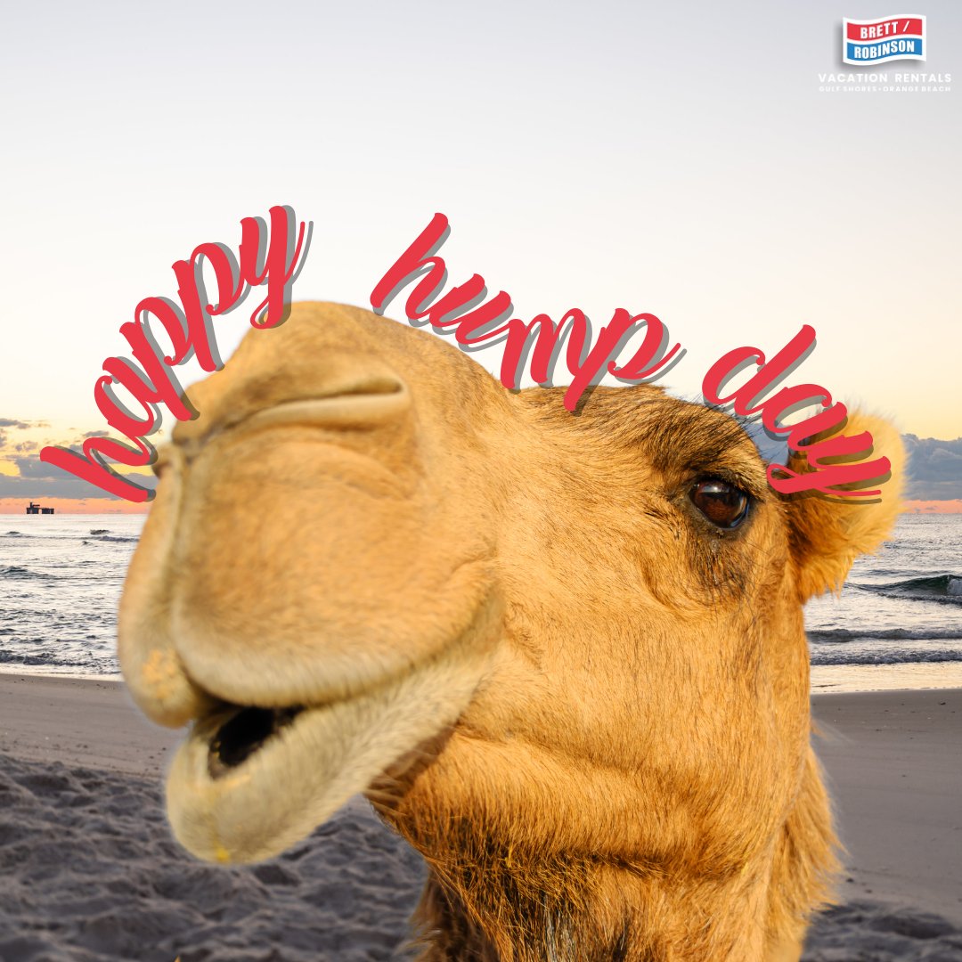 BrettRobinson1's tweet image. Treat yourself to a mid-week escape because you’ve earned it!

 Imagine relaxing in a beachfront condo with the fall breeze and stunning views. Ready to make your Wednesday blissful? bit.ly/3YPiSV8

#MidWeekEscape #BeachGetaway #BrettRobinsonVacations