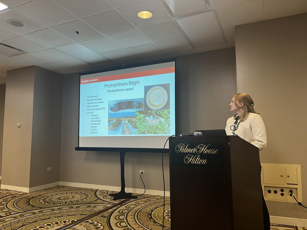 NC State Veggie Pathology (@quesadalabncsu) on Twitter photo <a href="/NC_PSI/">N.C. Plant Sciences Initiative</a> and <a href="/NCSU_DEPP/">NCSU Entomology & Plant Pathology</a> were well represented today at the Pickle Improvement session! <a href="/MPrietoTorres/">Mariana Prieto Torres</a> talked about #downymildew and <a href="/sarah_m_cochran/">Sarah Cochran-Murray</a> about Phytophthora surveillance with collaborators <a href="/XiangLirong/">Lirong Xiang</a> and <a href="/Tmiles_MSU/">Timothy Miles</a> 🥒🌶️ 👀 <a href="/NC_PSI/">N.C. Plant Sciences Initiative</a> and <a href="/NCSU_DEPP/">NCSU Entomology & Plant Pathology</a> were well represented today at the Pickle Improvement session! <a href="/MPrietoTorres/">Mariana Prieto Torres</a> talked about #downymildew and <a href="/sarah_m_cochran/">Sarah Cochran-Murray</a> about Phytophthora surveillance with collaborators <a href="/XiangLirong/">Lirong Xiang</a> and <a href="/Tmiles_MSU/">Timothy Miles</a> 🥒🌶️ 👀