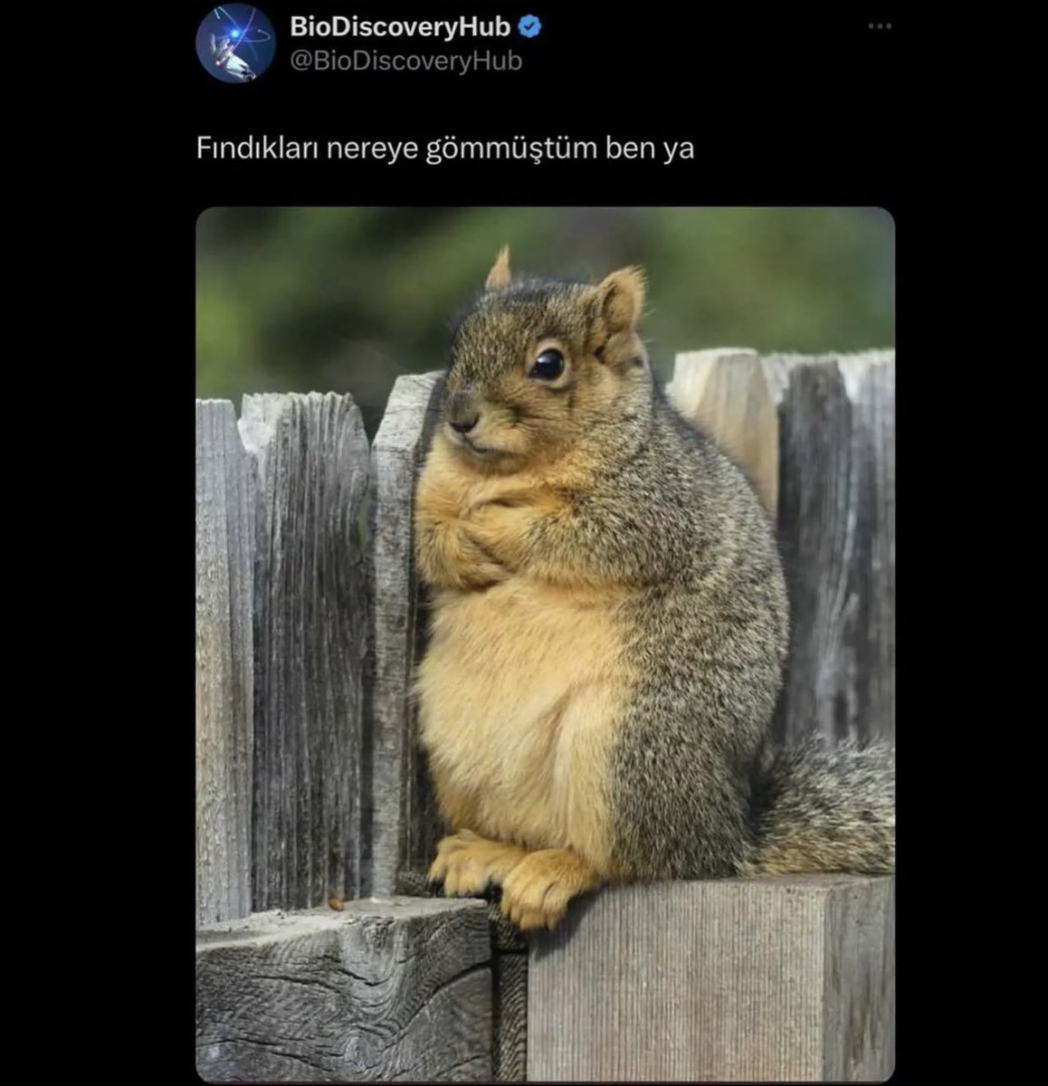 İşe başlamadan önce ben adlı çalışmam😃