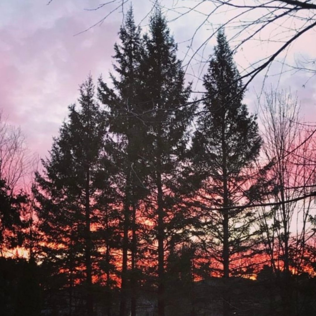 GoCottage's tweet image. The best views  😍🏡

🏡 Select upcoming openings! Book before they are gone - go-cottage.com/reservations/
-
-

#LakePlacid #LakePlacidVacation #GOCottage #NewYork #NYVacationRentals #NYFall #Cabins