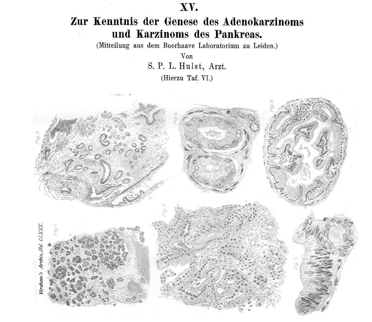 Anirban Maitra tweet media