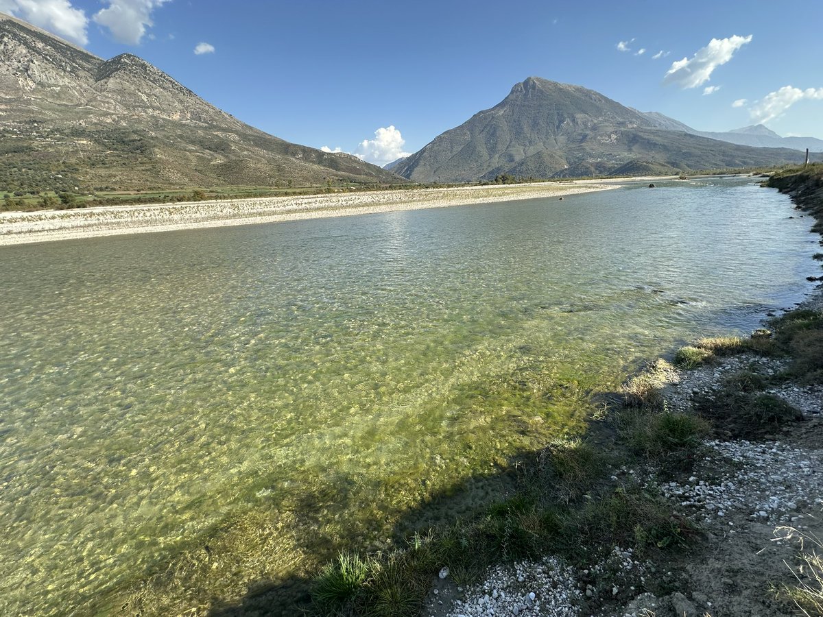 UlrichEichelman's tweet image. Today at the Vjosa. River looks clear and beautiful. But if you look closer, you see lots of algae, indication of water pollution. So far, all localities discharge their wastewater into the Vjosa.
The area desperately needs sewage systems. @vjosariverpark