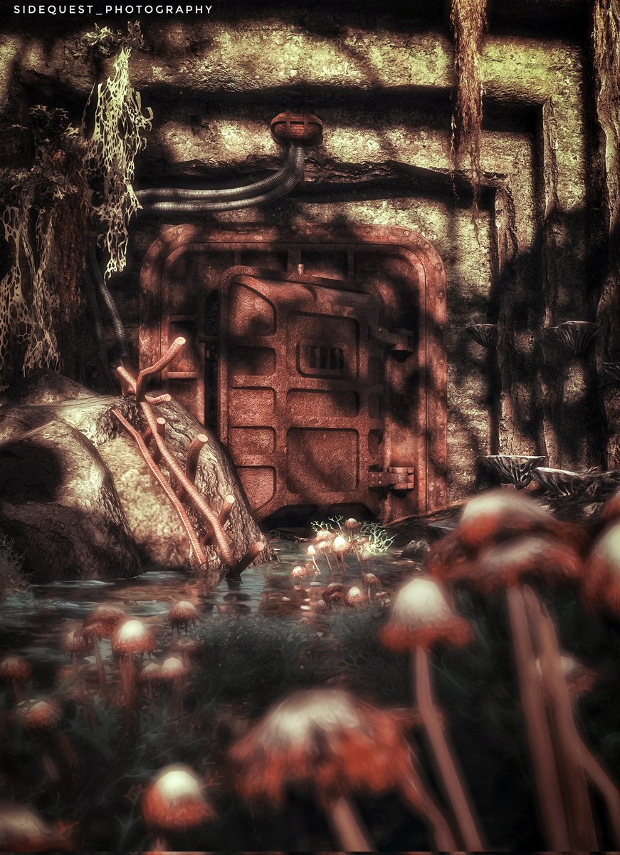 Space Marine 2

1. The Emperors Chosen
2. Maw
3. Bunker

<a href="/SaberGames/">Saber Interactive</a>
<a href="/Focus_entmt/">Focus Entertainment</a>
#SpaceMarine2    #warhammer40k #VirtualPhotography #PhotoMode #WorldofVP #PS5Share