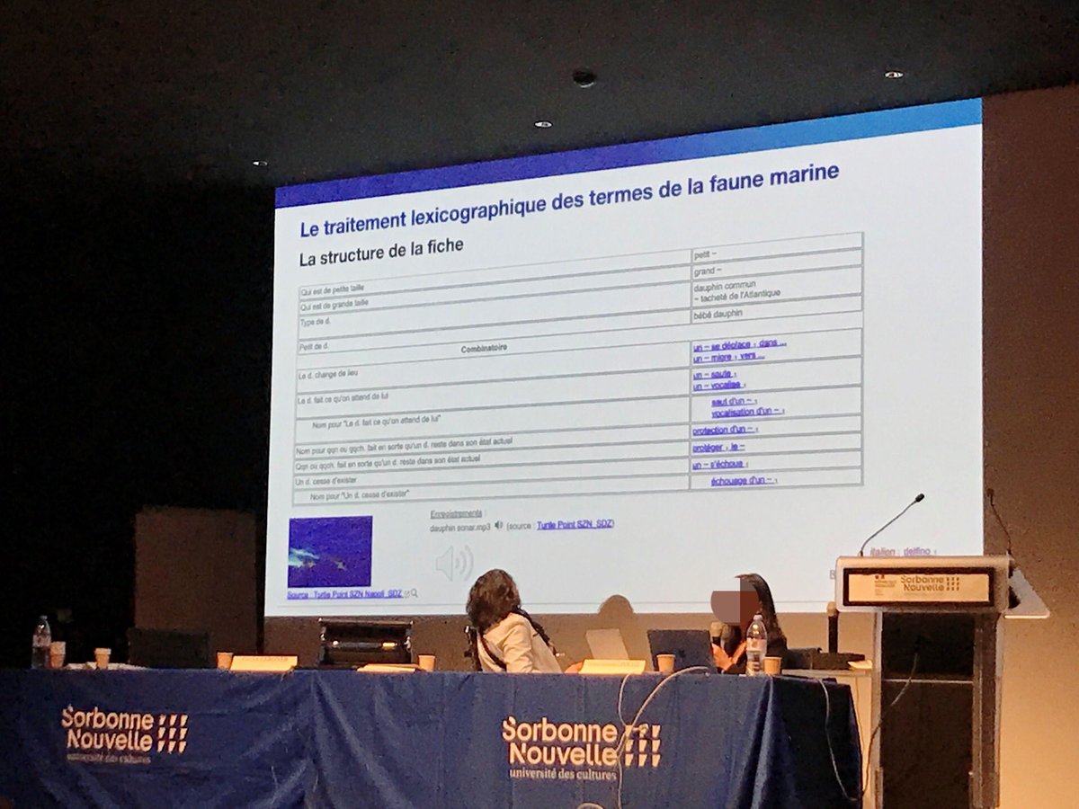 Martina Ronci tweet media