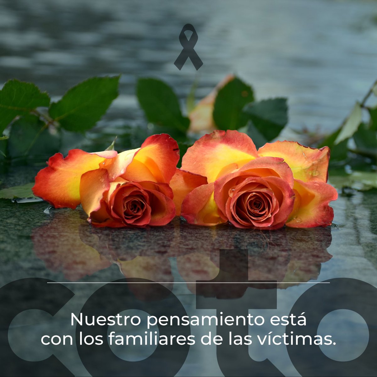 COTO - Suministro a profesionales tweet media