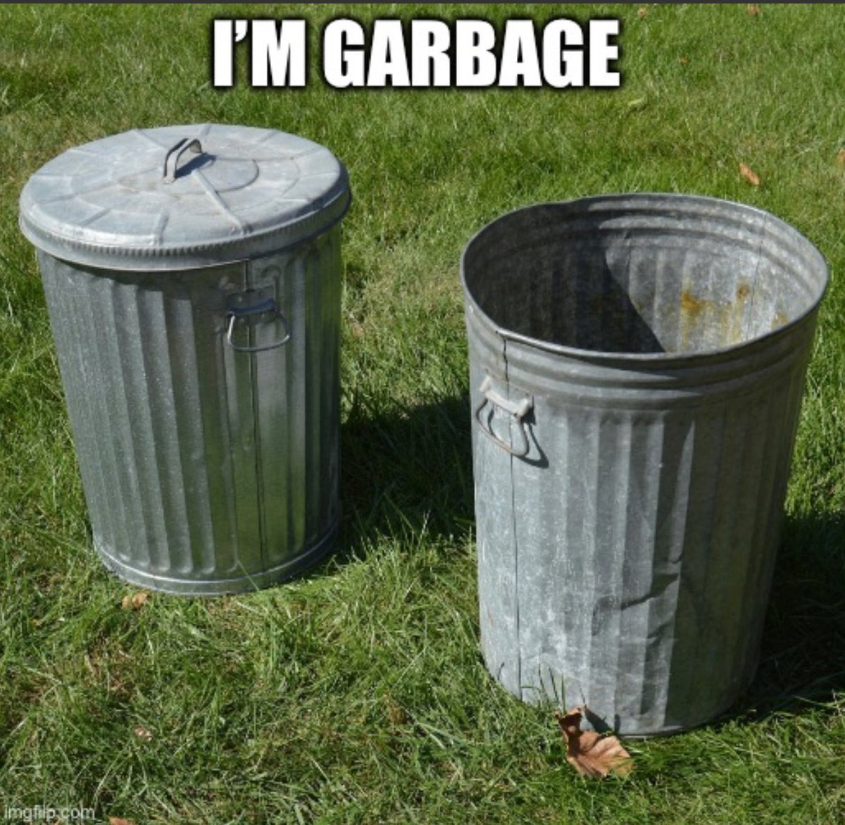 Addison (@gatoraddison) on Twitter photo 