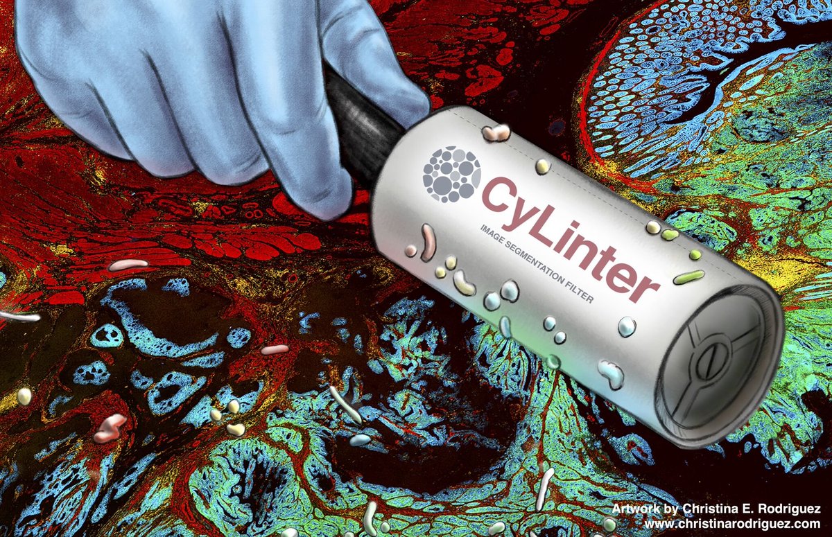Sandro Santagata (@santagatamdphd) on Twitter photo 🎉📢 CONGRATULATIONS to Greg Baker on the publication today of his article
CyLinter: Quality Control for Multiplex Imaging
in <a href="/naturemethods/">Nature Methods</a> !
nature.com/articles/s4159…
#CyLinter enables #MultiplexImaging #QualityControl -- an important tool for #SpatialBiology with automated 🎉📢 CONGRATULATIONS to Greg Baker on the publication today of his article
CyLinter: Quality Control for Multiplex Imaging
in <a href="/naturemethods/">Nature Methods</a> !
nature.com/articles/s4159…
#CyLinter enables #MultiplexImaging #QualityControl -- an important tool for #SpatialBiology with automated