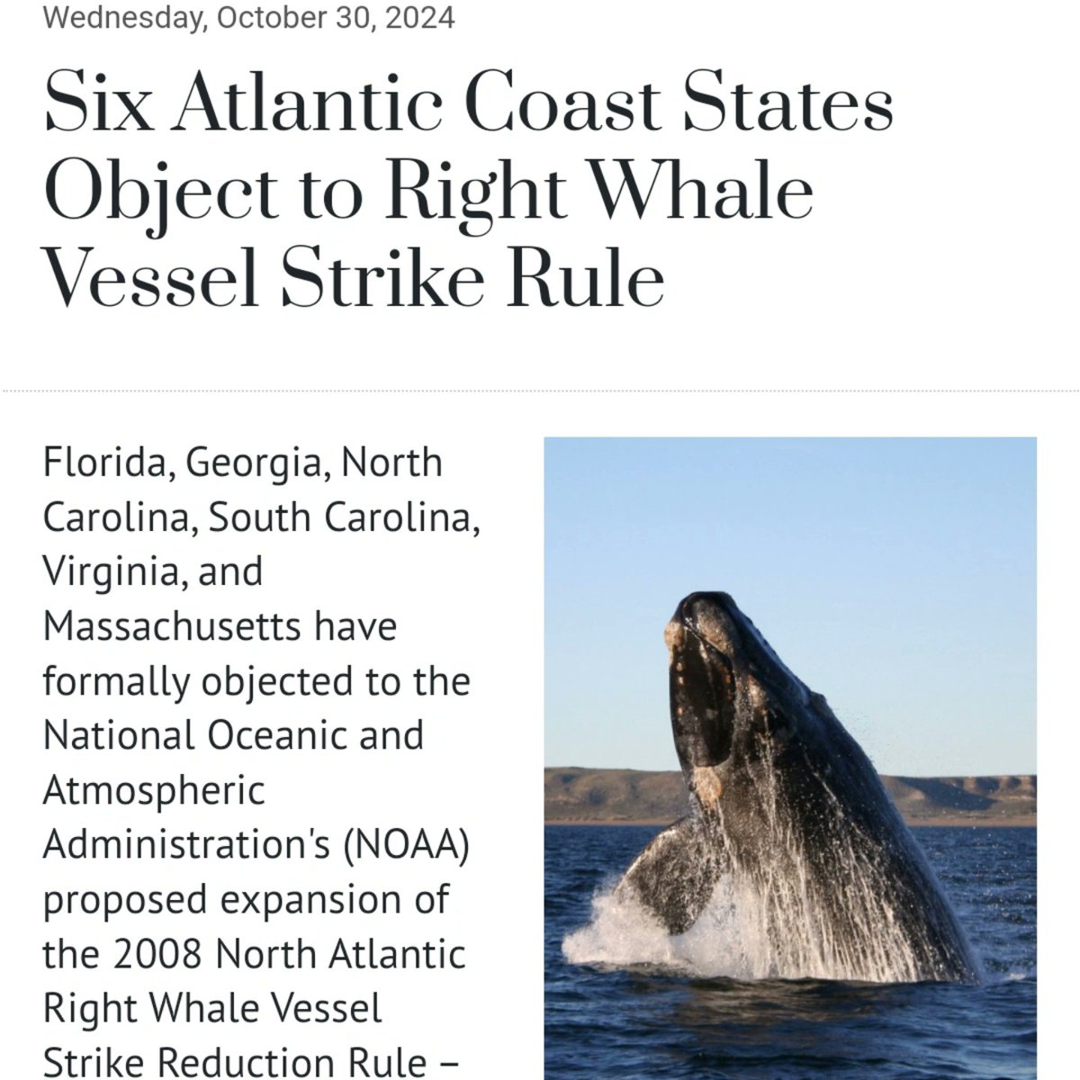 thewaterwire.com/releases/52c6e…