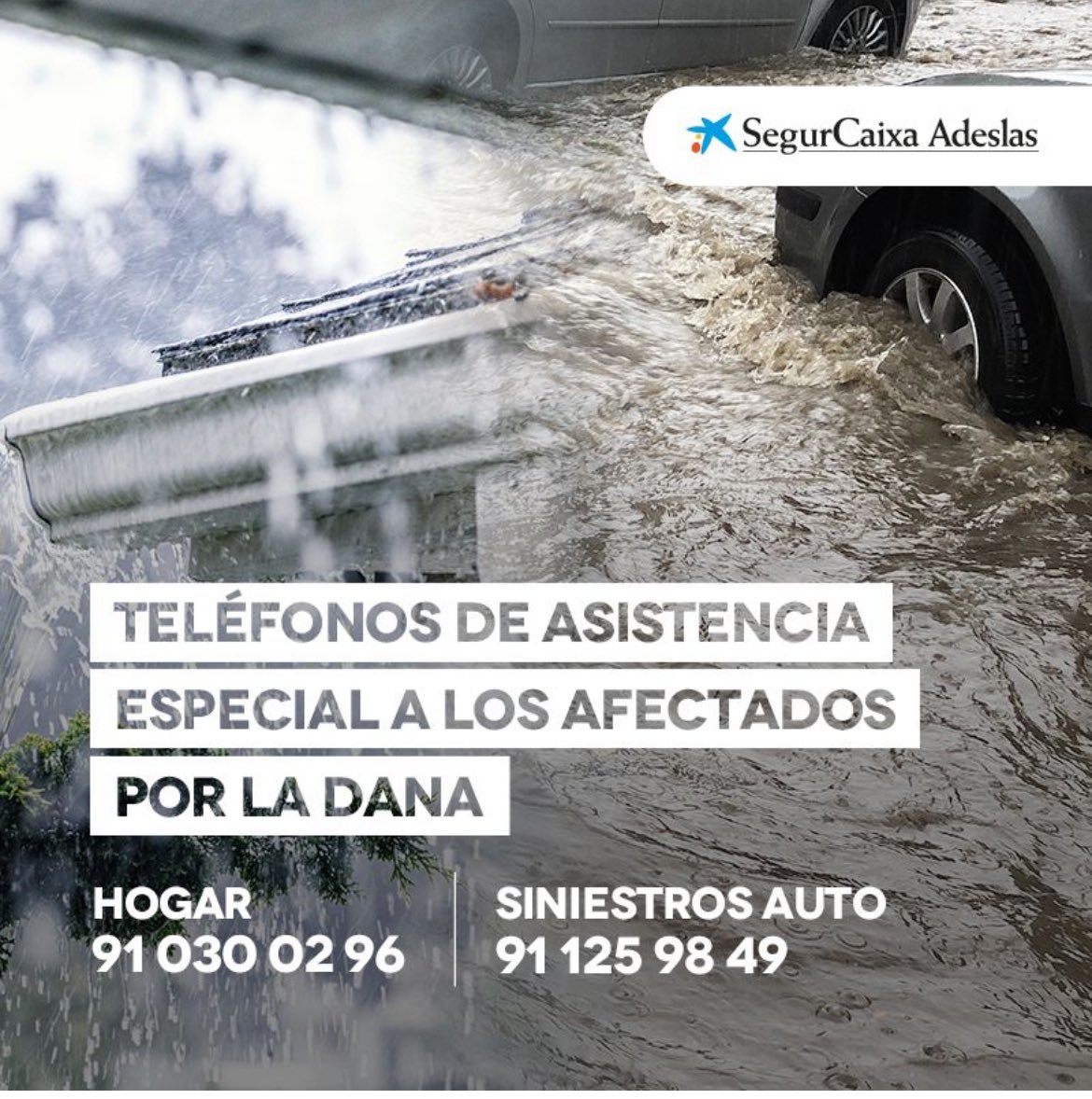 Samanta Navarro (@snn1976) on Twitter photo 