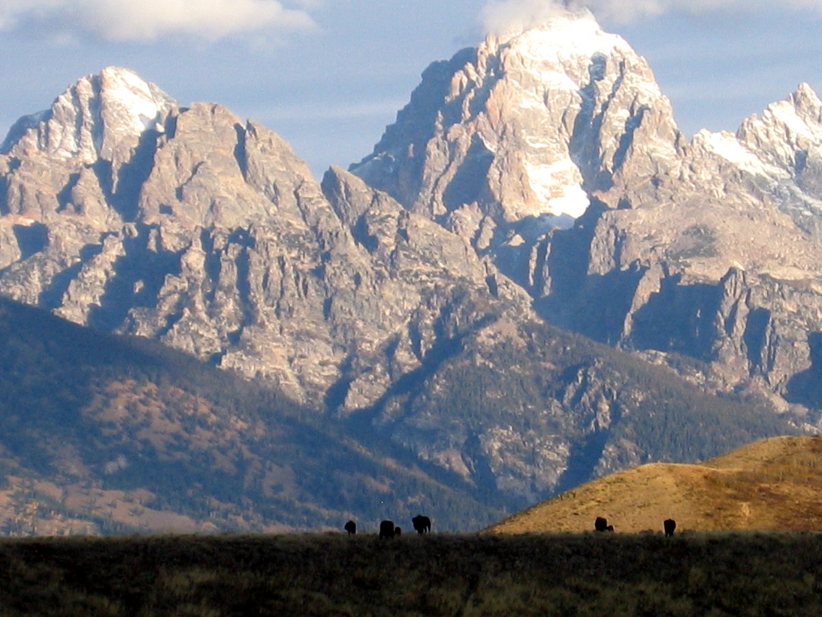 usfs_r4's tweet photo. In honor of #NationalBisonDay, here are some fun facts about USA's #NationalMammal: They are the largest land mammal in North America, have a canine tooth on their lower jaw that allows them to get 15-30 lbs of food daily, and don't feel cold until temps drop below -20°F. Wow! https://t.co/4H40WL4MKP