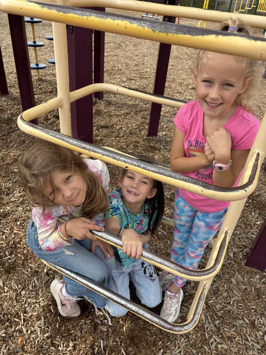 St. Anne School tweet media