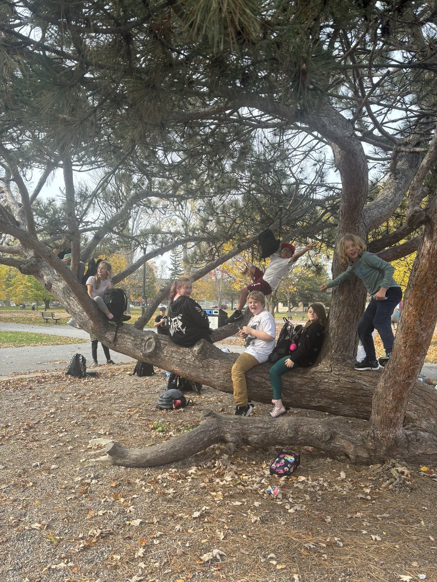 Jennifer Banham tweet media