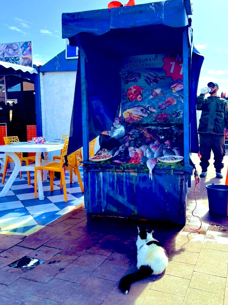 GDiGrazia's tweet image. 😼 Tentation (Def), nom féminin:

1. Impulsion qui pousse au péché, au mal.Succomber à la tentation.

2. Ce qui incite à (une action) en éveillant le désir.La tentation des voyages; de partir en voyage. #Somewhere