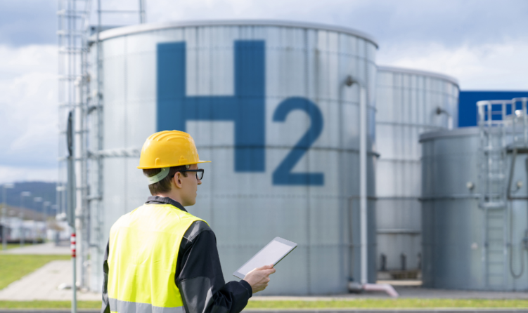 The Talent Pool tweet media