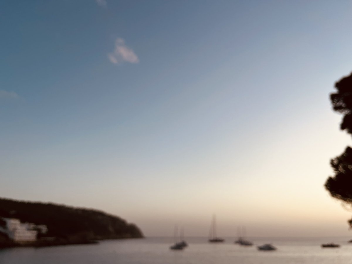 Amelia Hodsdon tweet media