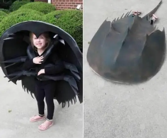 Still one of the best Halloween costumes I've ever seen.
I kind of want one.