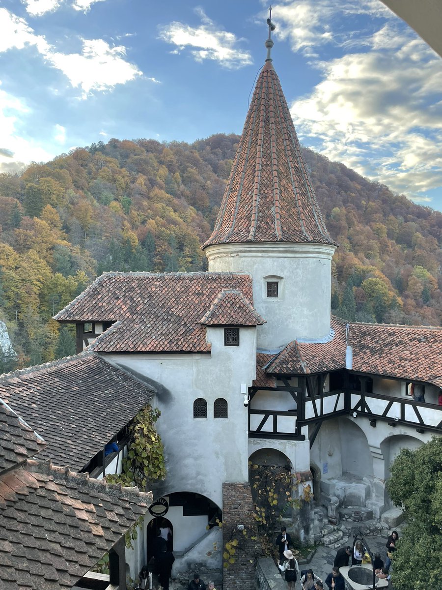 Miss Slye tweet media