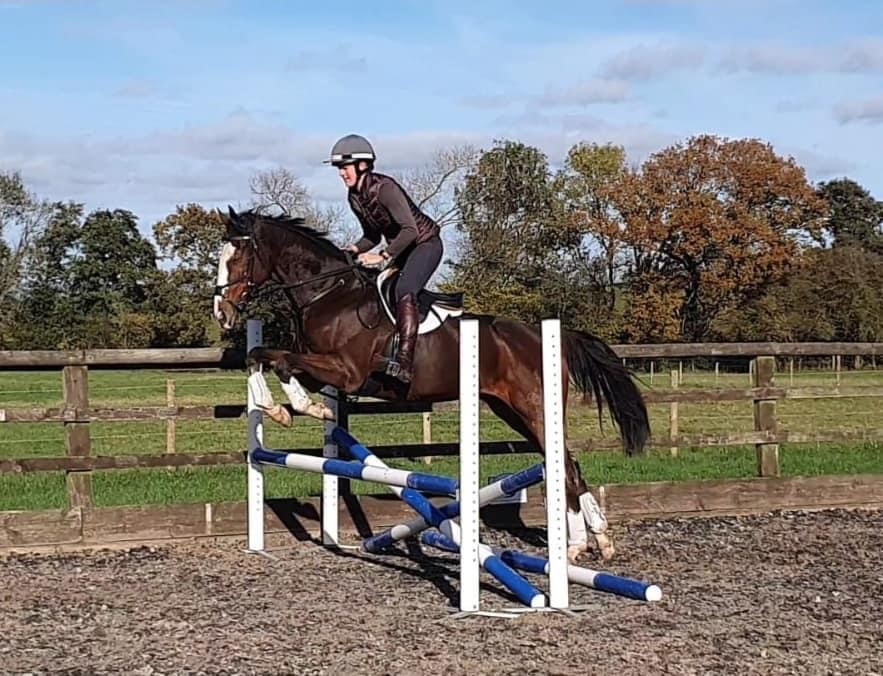 Phil Bell (@philbell25) on Twitter photo Big thanks to <a href="/stratfordraces/">Stratford Racecourse</a> for naming a race after our 5 time winner Blaze A Trail tomorrow - he won 3 on the spin at the course in 2022 for our Belly's Heroes syndicate and trainer <a href="/Johnflint_11/">John Flint Racing</a>. He's now retired from the track and being retrained. A happy ending. Big thanks to <a href="/stratfordraces/">Stratford Racecourse</a> for naming a race after our 5 time winner Blaze A Trail tomorrow - he won 3 on the spin at the course in 2022 for our Belly's Heroes syndicate and trainer <a href="/Johnflint_11/">John Flint Racing</a>. He's now retired from the track and being retrained. A happy ending.