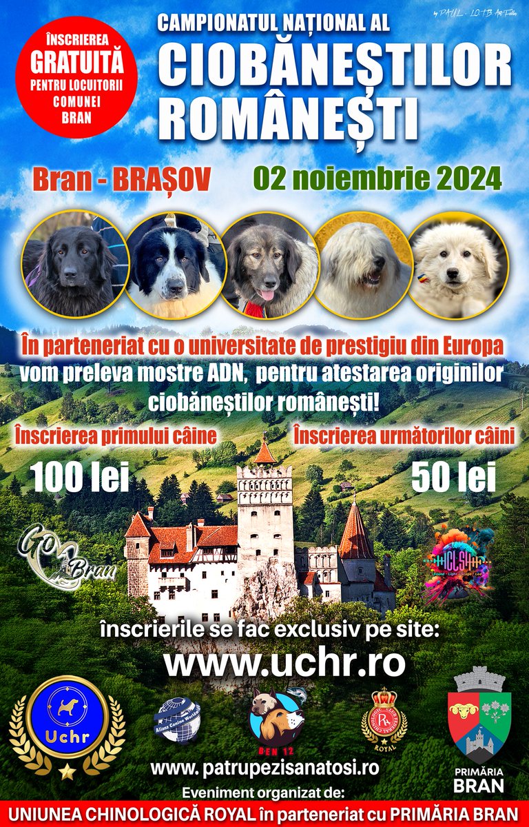 p_aulwhite's tweet photo. To all my friends and contacts interested in livestock guardian dogs, there will be an exhibition of the Romanian LGD breeds in Bran this Saturday, November 2nd. Many shepherds from the mountains will attend to exhibit their dogs. Last year was great! #UCHR https://t.co/w8jHVJdd5n