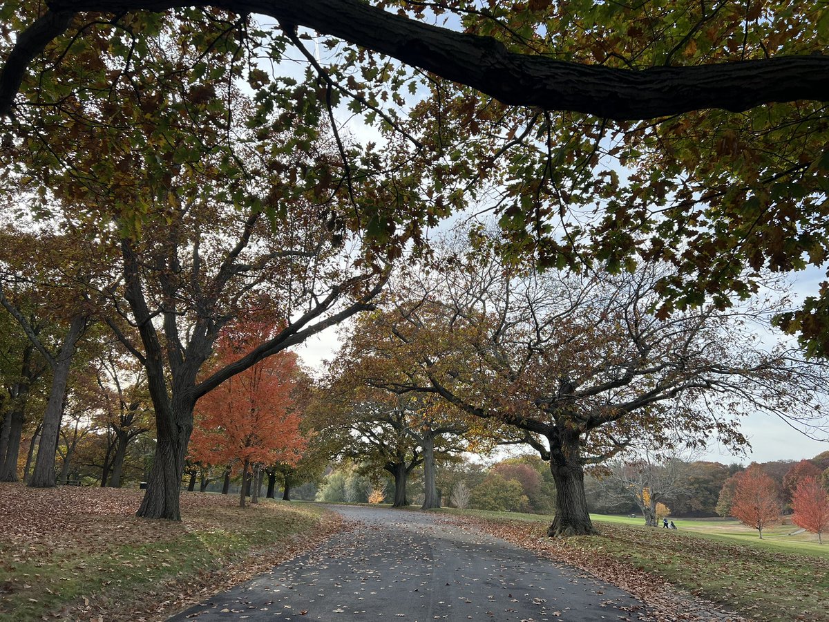 Pretty day in Boston today (and 70 degrees!)