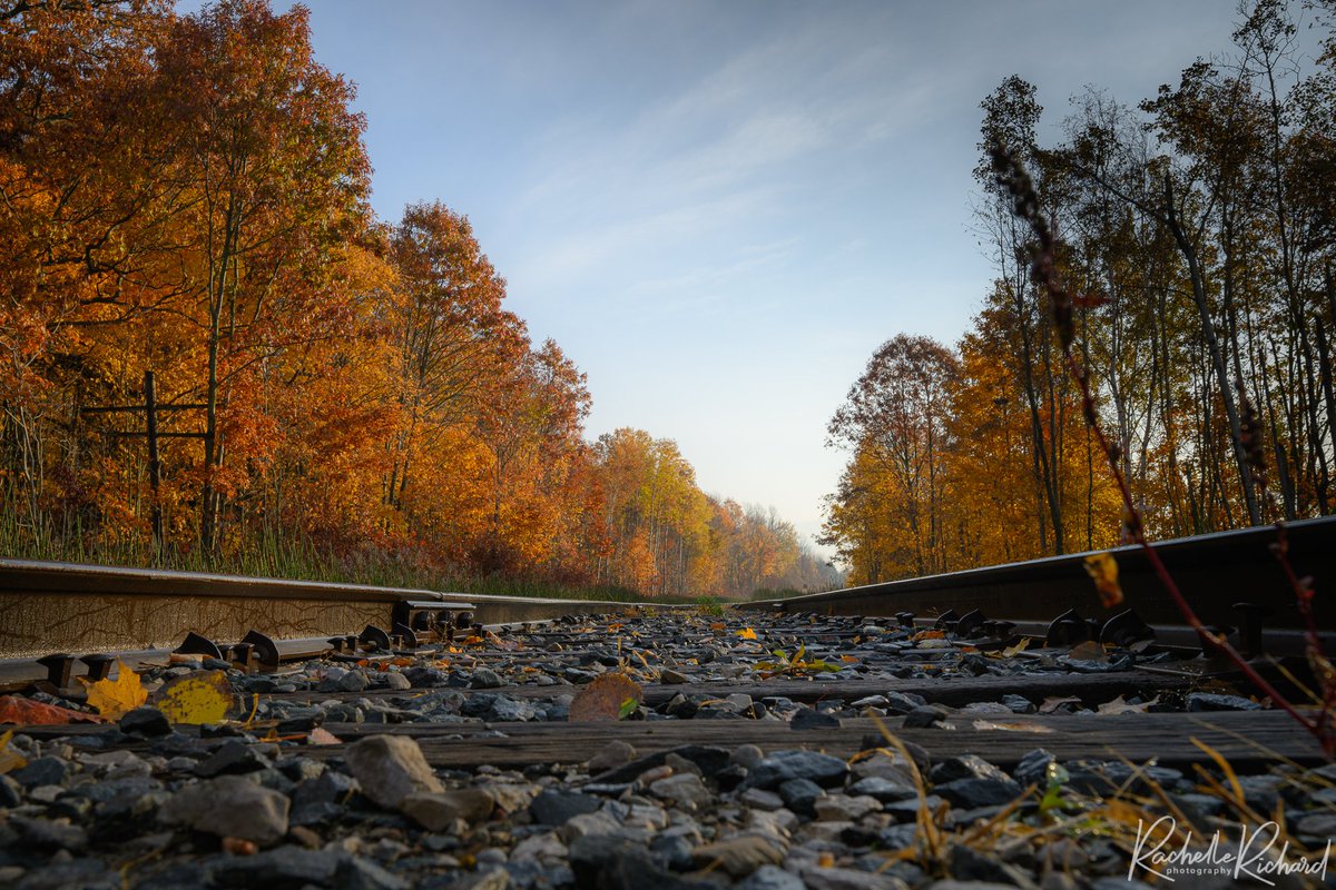 rachrichphoto's tweet photo. Still lots of fall left to enjoy, you just have to know where to look for it. #thephotohour #fallvibe #autumn #fallcolours #shareyourweather #sharecangeo #fallincanada #AutumnColours @KMacTWN
https://t.co/dn8F8RVmsm https://t.co/2gwJiTq6VQ