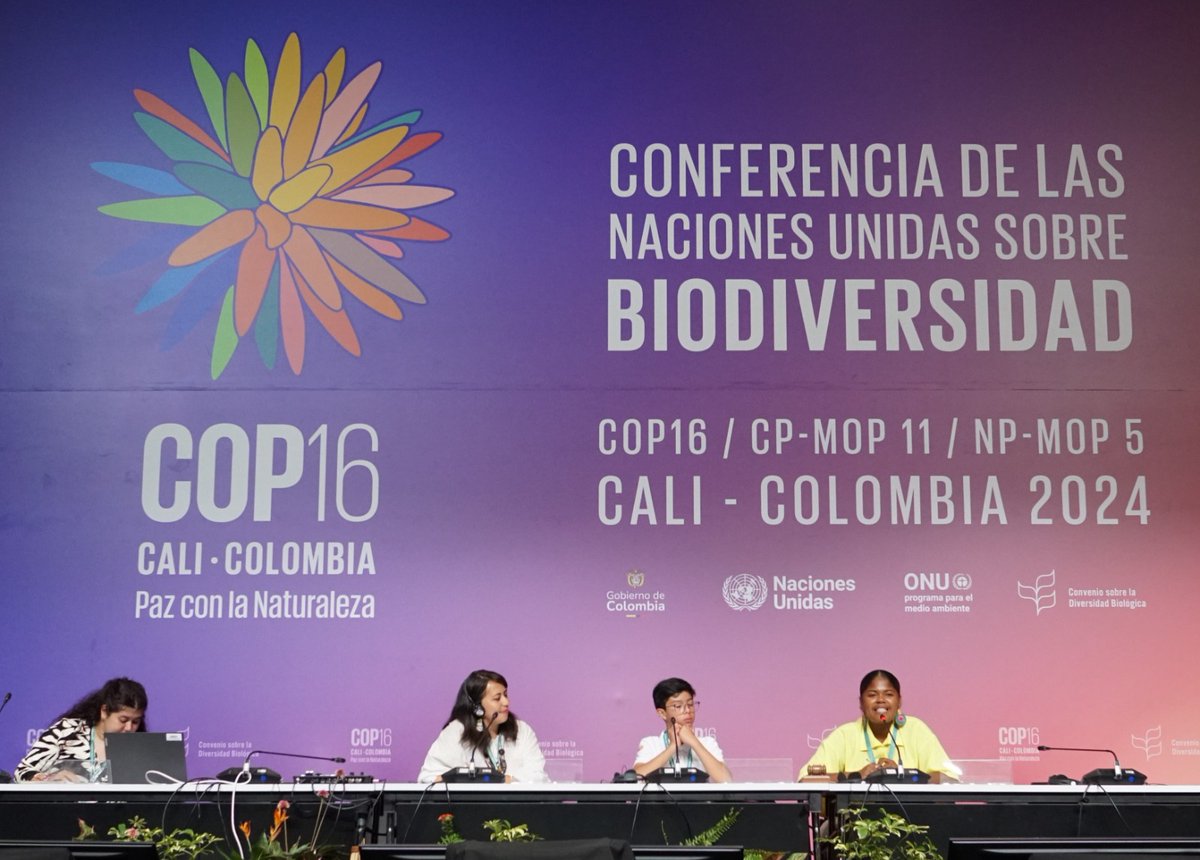 UNICEFColombia's tweet photo. Incluir a las niñas, niños y adolescentes en los textos finales en las negociaciones de la #COP16Colombia es fundamental para garantizar su bienestar, supervivencia y derecho a vivir en ambientes limpios, sanos y sostenibles. #ChildrenOurPriority https://t.co/f2Ae2be28r