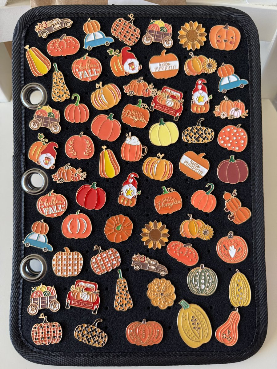 Got some spooky 👻 and some fall 🍁 themed pins for sale! DM me if interested