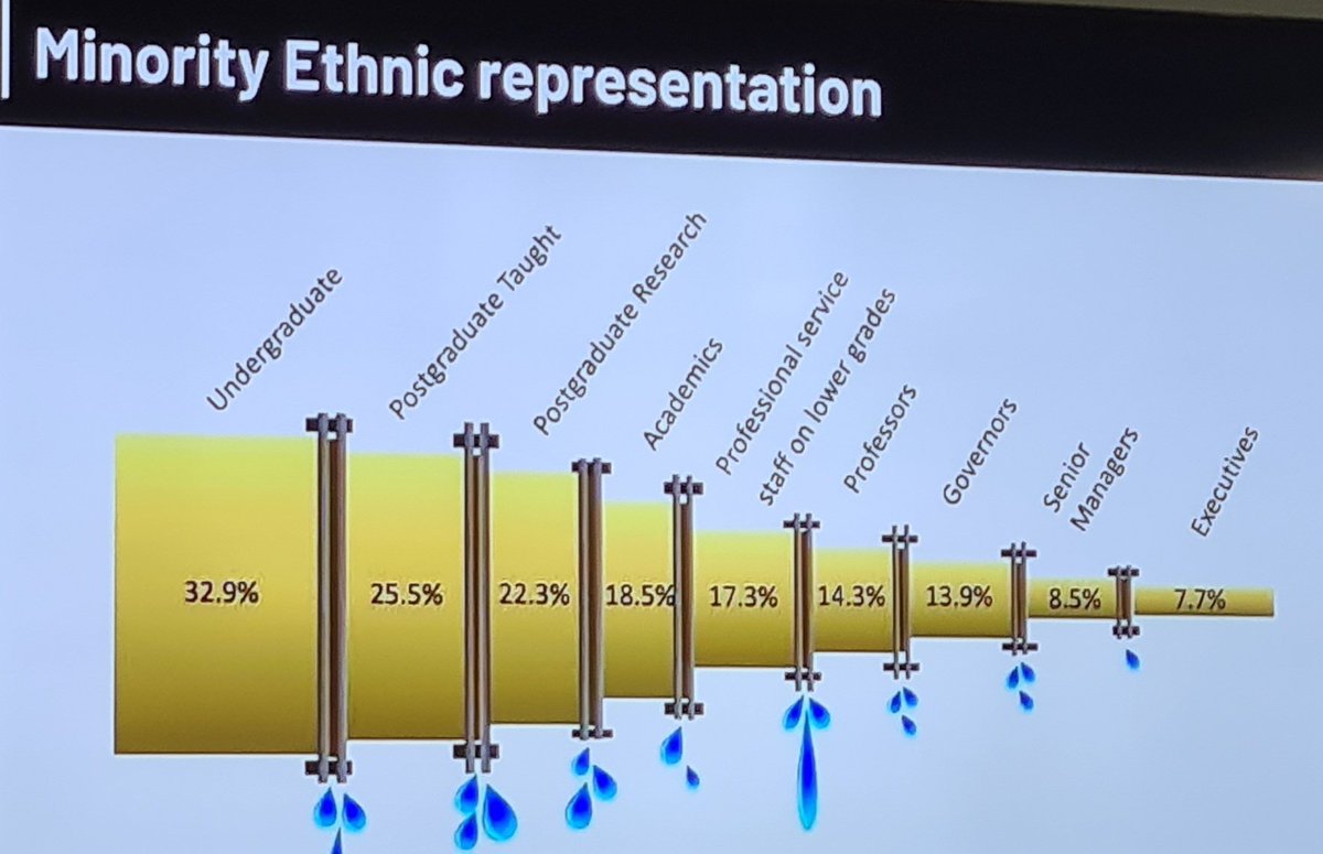 pjrookes's tweet photo. Congratulations to Jagwant Johal and Siobhan Harper-Willis for organising excellent 2nd biennial BRIG (Birmingam Racial Impact Group) Summit, with such well informed members of panels. Graphs showed diminishing number of people from BAME progressing to higher educational levels. https://t.co/5OLn6lIPuh