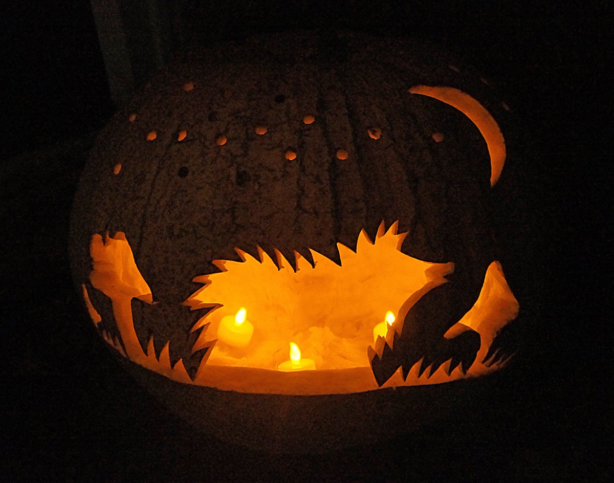 If you are celebrating #Halloween &amp; have created beautiful carvings - We politely ask you move any #pumpkin 🎃  to the waste bin after your #Halloween celebrations please. This is to keep our beloved visiting  #Hedgehogs safe as a enticing pumpkin dinner causes them tummy issues.