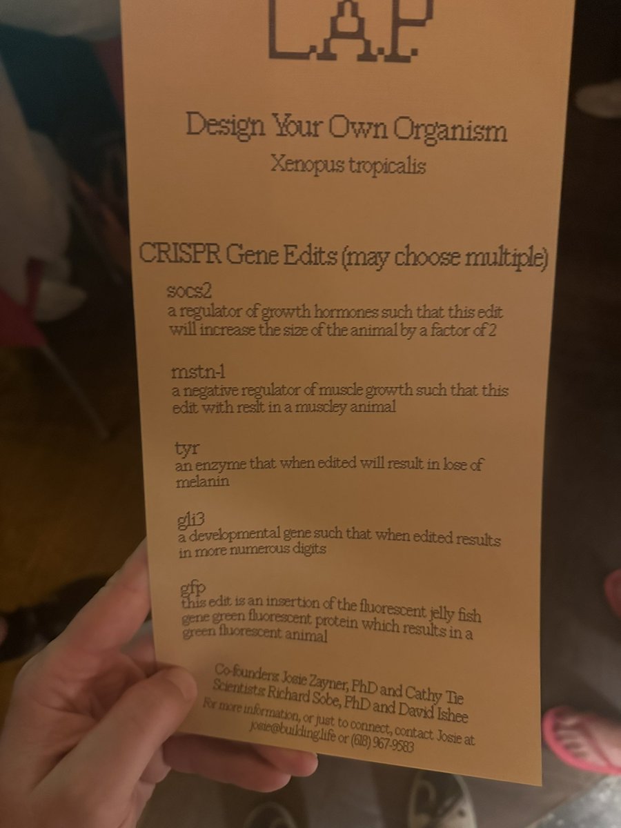 William Mason (feat Bear) tweet media