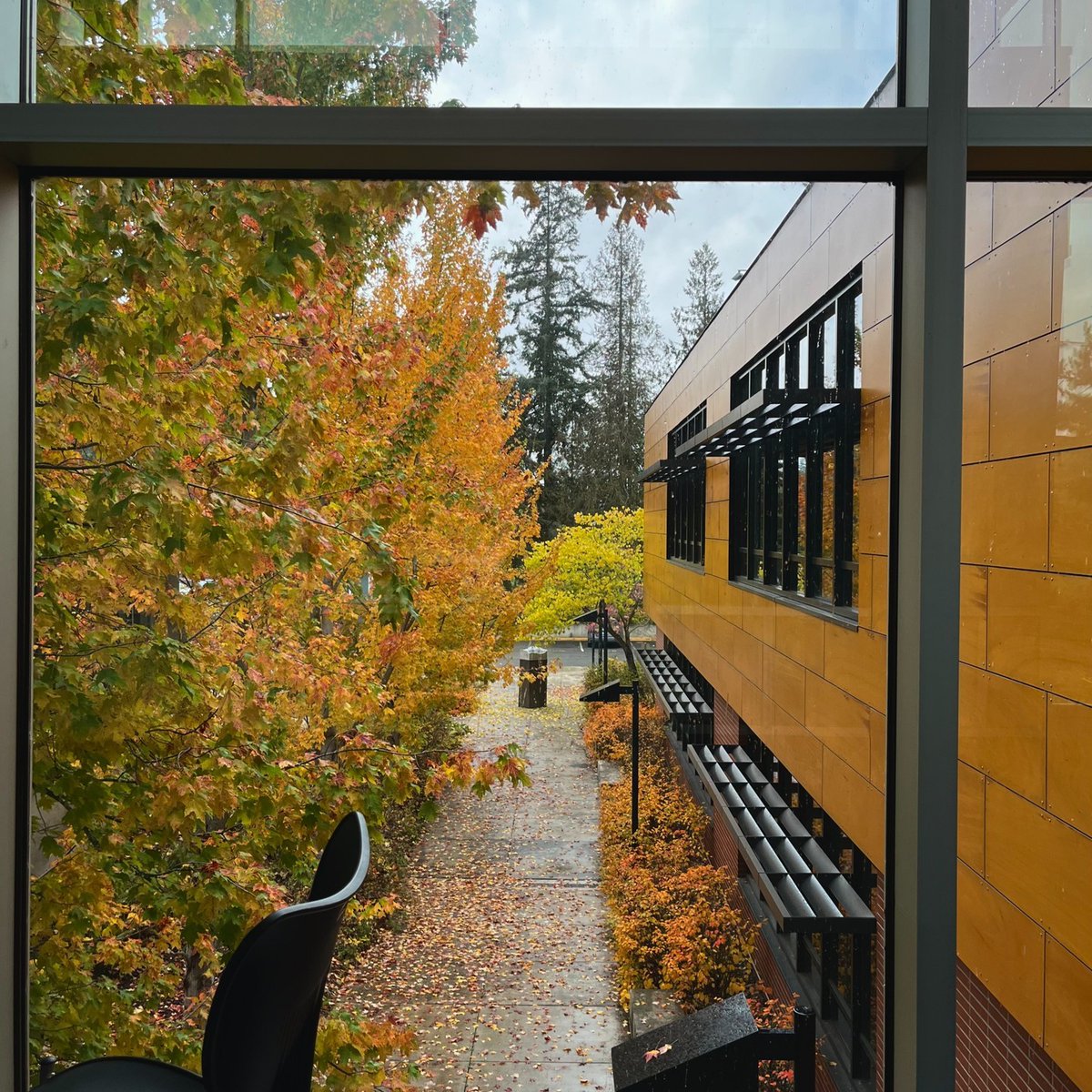 Fall at PC is its own kind of magic. 🍂✨Best spot on campus to soak in the season? 👇🏽