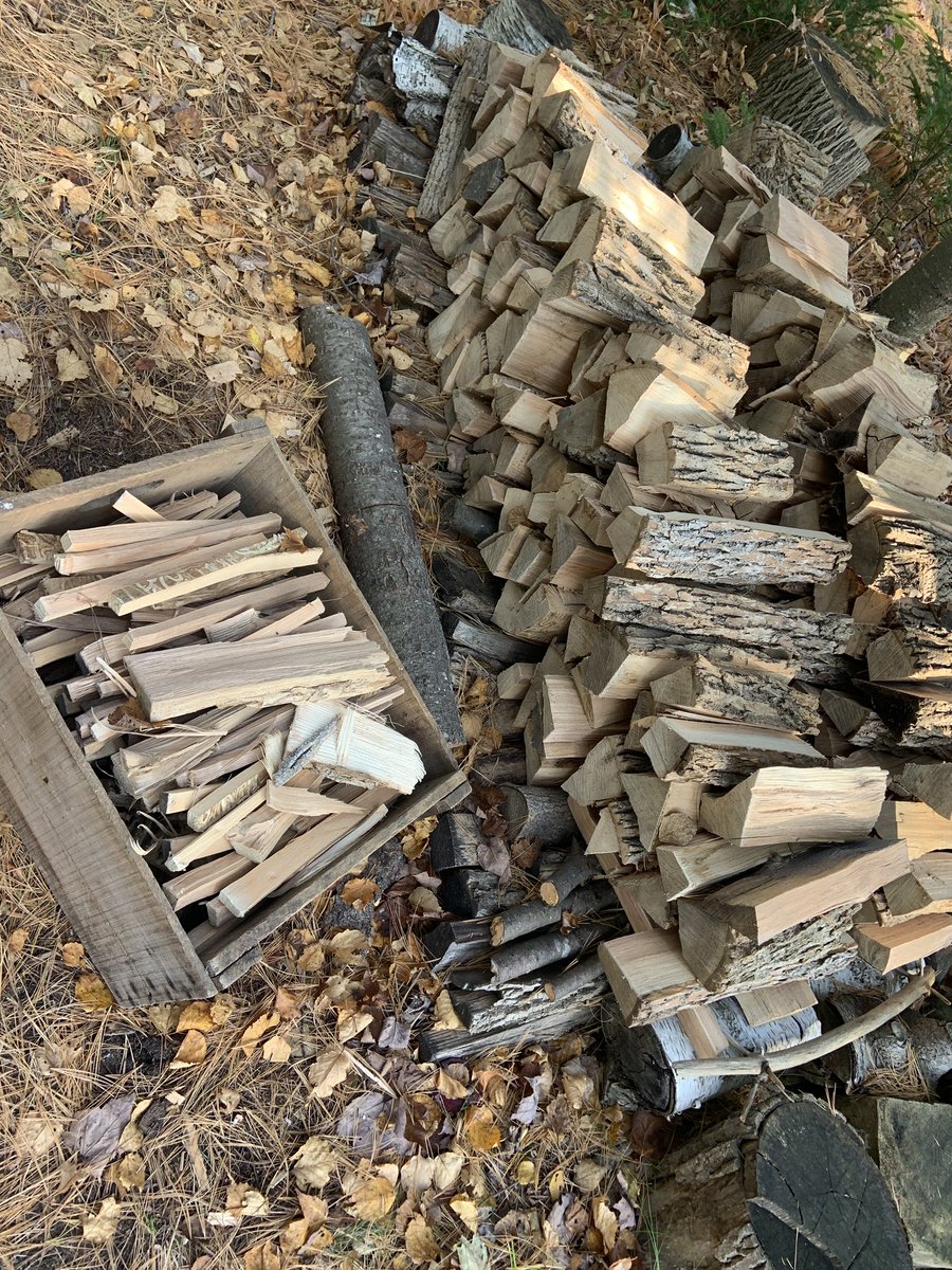 kats_clicks's tweet photo. I cleaned the eavestroughs, split a bunch of wood to get my stock back up, and am now at the beach enjoying this amazing weather. Today I am simply thankful for being alive! What are you thankful for?
#gratitude #cottagelife #bonussummer https://t.co/uWxJxriUGS