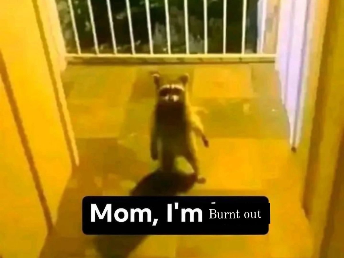 Delulu Bacilli 9¾ 🇵🇸 (@thegirlwholive0) on Twitter photo 