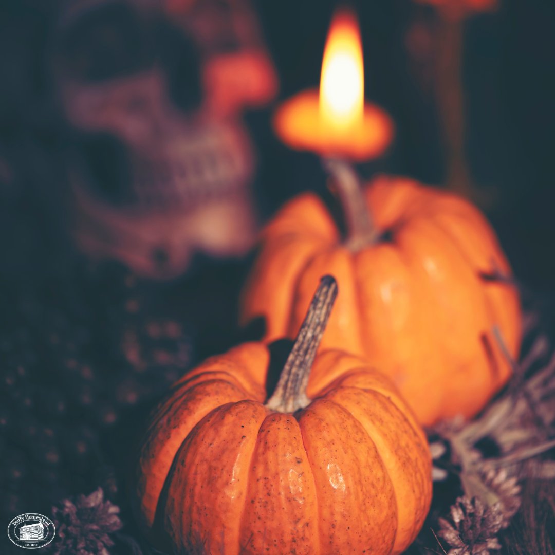 DuffyHomestead's tweet photo. Did you know that Halloween actually originated in Ireland? That’s right! The festival traces its roots back to the ancient Celtic festival of Samhain, celebrated over 2,000 years ago! 🎃 https://t.co/WKjs2PmAfx