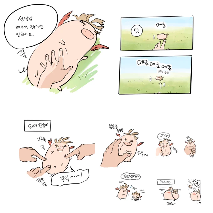 됒이 