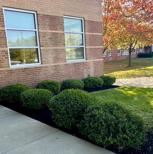 Our cafeteria and main entrance areas are looking nice...fresh mulch &amp; some fall flowers make all the difference! (Special thanks to our building service worker, Milton!)