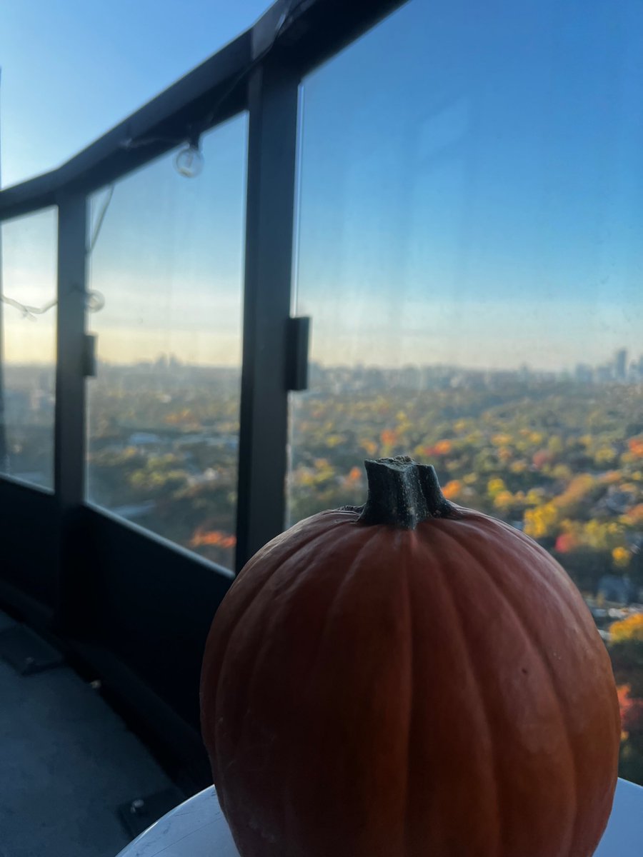 rubyandersonCA's tweet image. In my witch era🖤

#halloween #happyhalloween #witch #pumpkin #fall #sweater #cozy #autumn