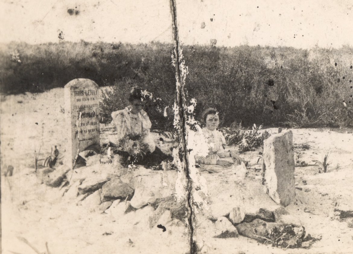 Dave Taylor tweet media