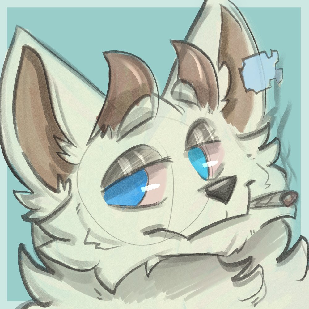 ✨Local Cryptic Bastard✨ tweet media