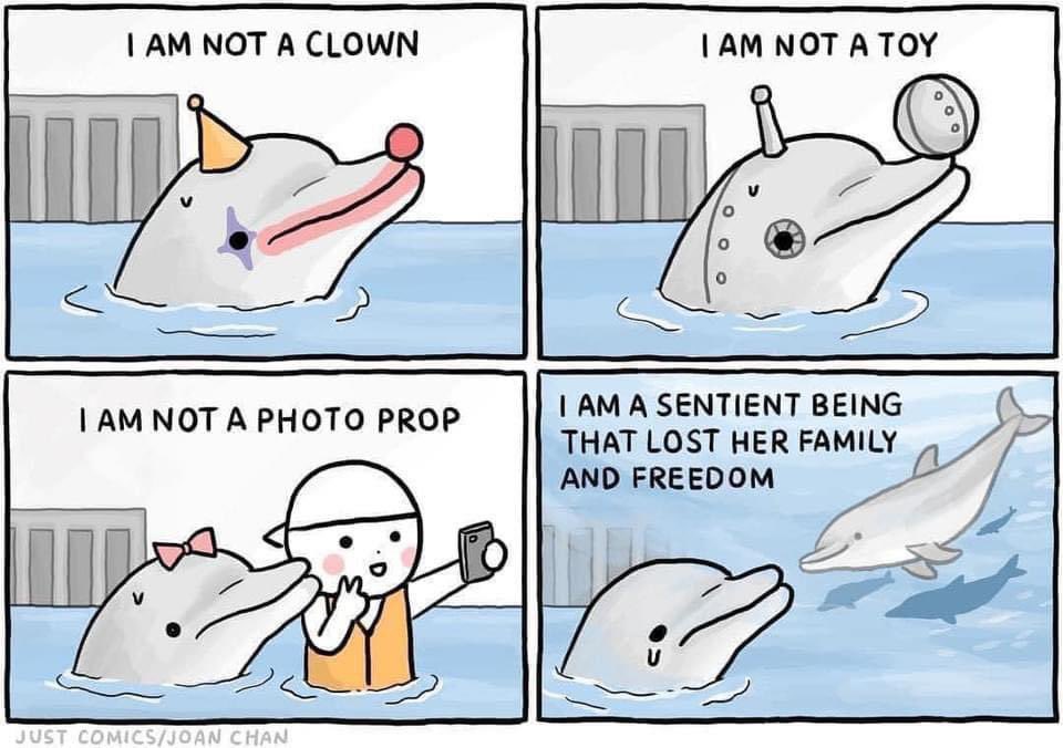 Trisha Ray tweet media