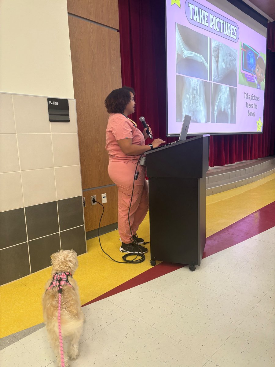 Knayala115's tweet photo. Community helpers-PreK
Our PreK students loved getting to see the role of a Veterinarian. 
@ClevelandISDTX https://t.co/3j59wdOqlJ