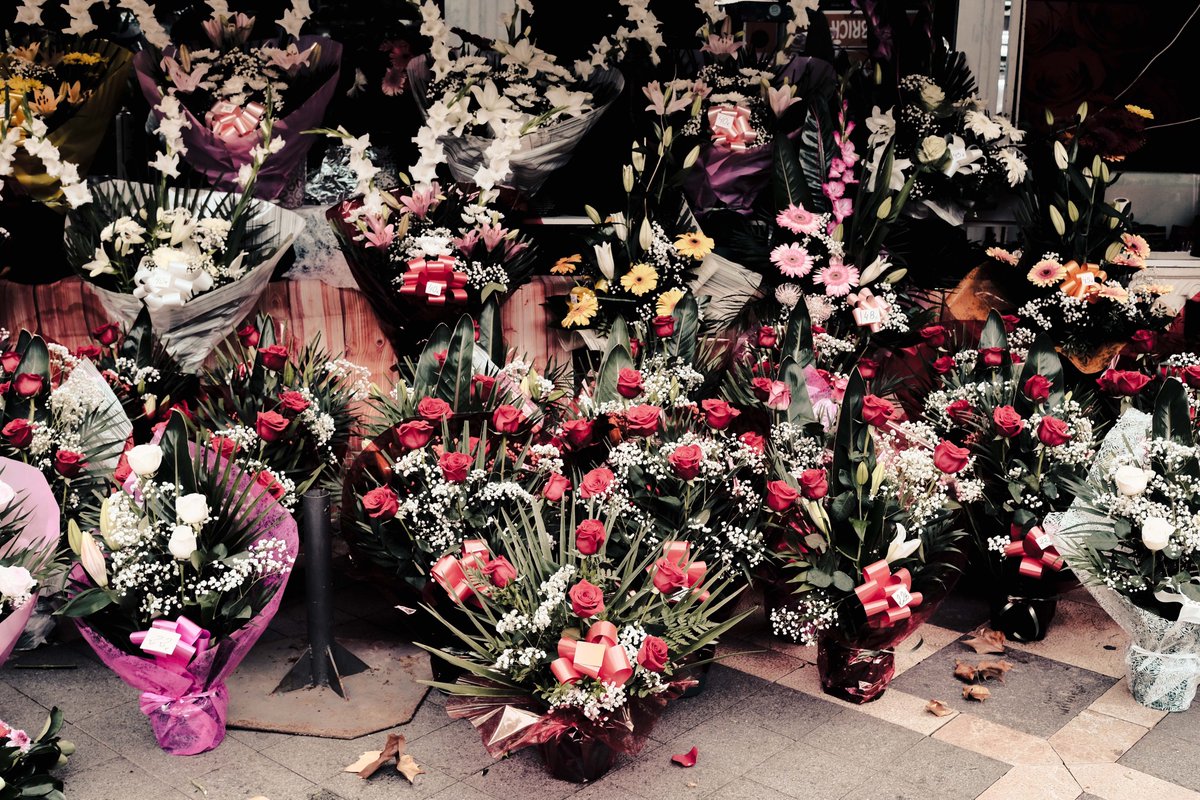 Moody morning in Palma yesterday, on #fujixe3