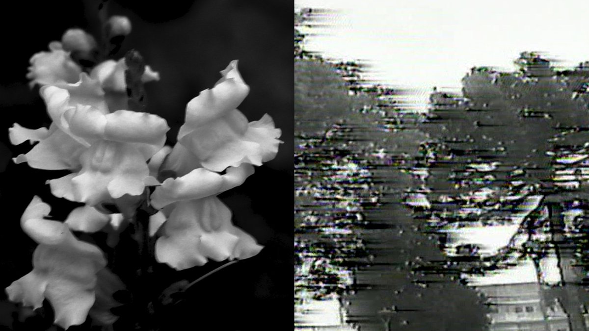 twinkokoko's tweet photo. fiz uma coisa aqui...

#videoarte #art https://t.co/rDP09sgkDf