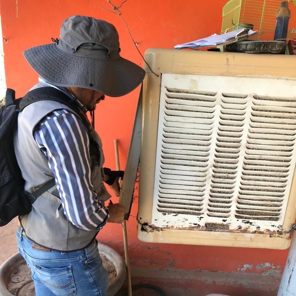 ssaludsonora's tweet photo. 🟢 Personal de vectores del #DistritodeSalud02 continua con las visitas domiciliarias para control larvario en ejido Último Esfuerzo en Caborca.

#SaludSonora https://t.co/kxWr0WU5aU