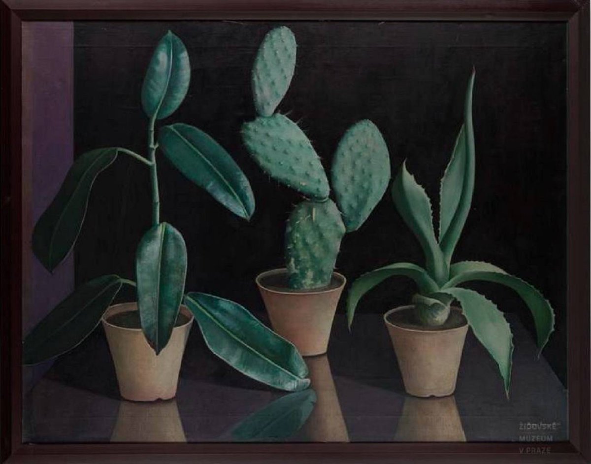 MenschOhneMusil's tweet photo. Ilona Singer-Weinberger- Still life with cacti (1930). https://t.co/Gun902KfGx