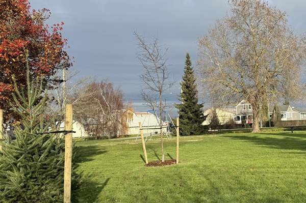 Rotary Ladner tweet media