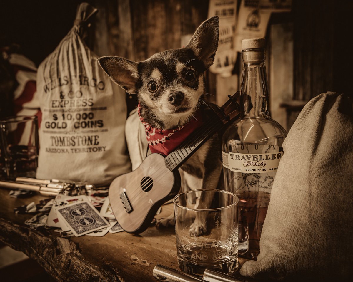 roscoe_blaze's tweet image. Welcome to Halloween 2024 (depending on your time zone 😉)!!! 
🐶🥃🎸🎃🎸🥃🐶
#halloween2024 
@ChrisStapleton 
#ChrisStapleton 
#BuffaloTrace
@BuffaloTrace 
#Traveller