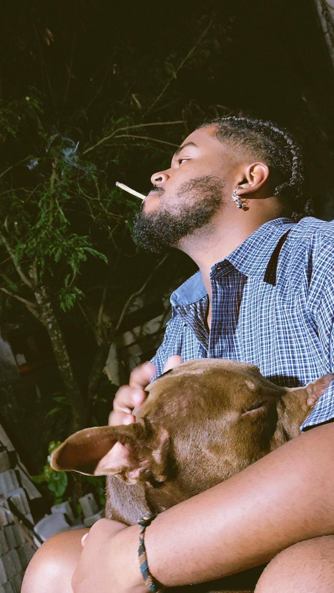 🦍🍁