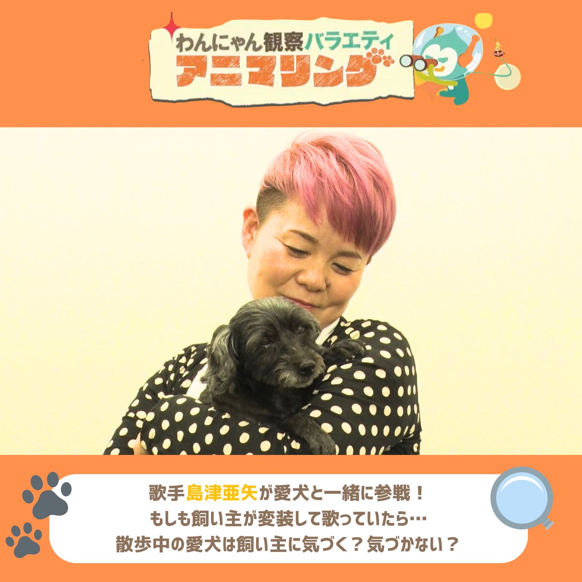 ╭━━━━━━━━━━━╮ 今夜𝟴時 #アニマリング 🐾 ╰━━━━v